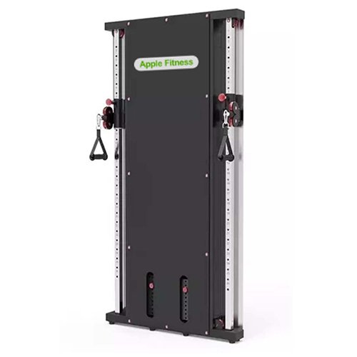 HG-001 Wall Mounted Multi Functional Muscle