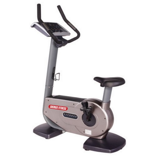 Commercial Upright Bike